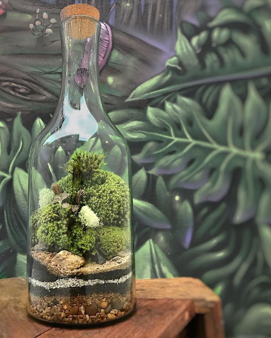 This Company Makes Incredible Micro Ecosystems In Pots And You Will Definitely Want One In Your Home
