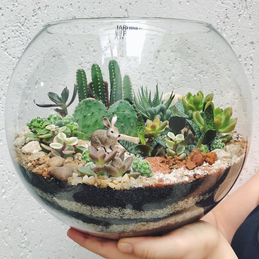 This Company Makes Incredible Micro Ecosystems In Pots And You Will Definitely Want One In Your Home