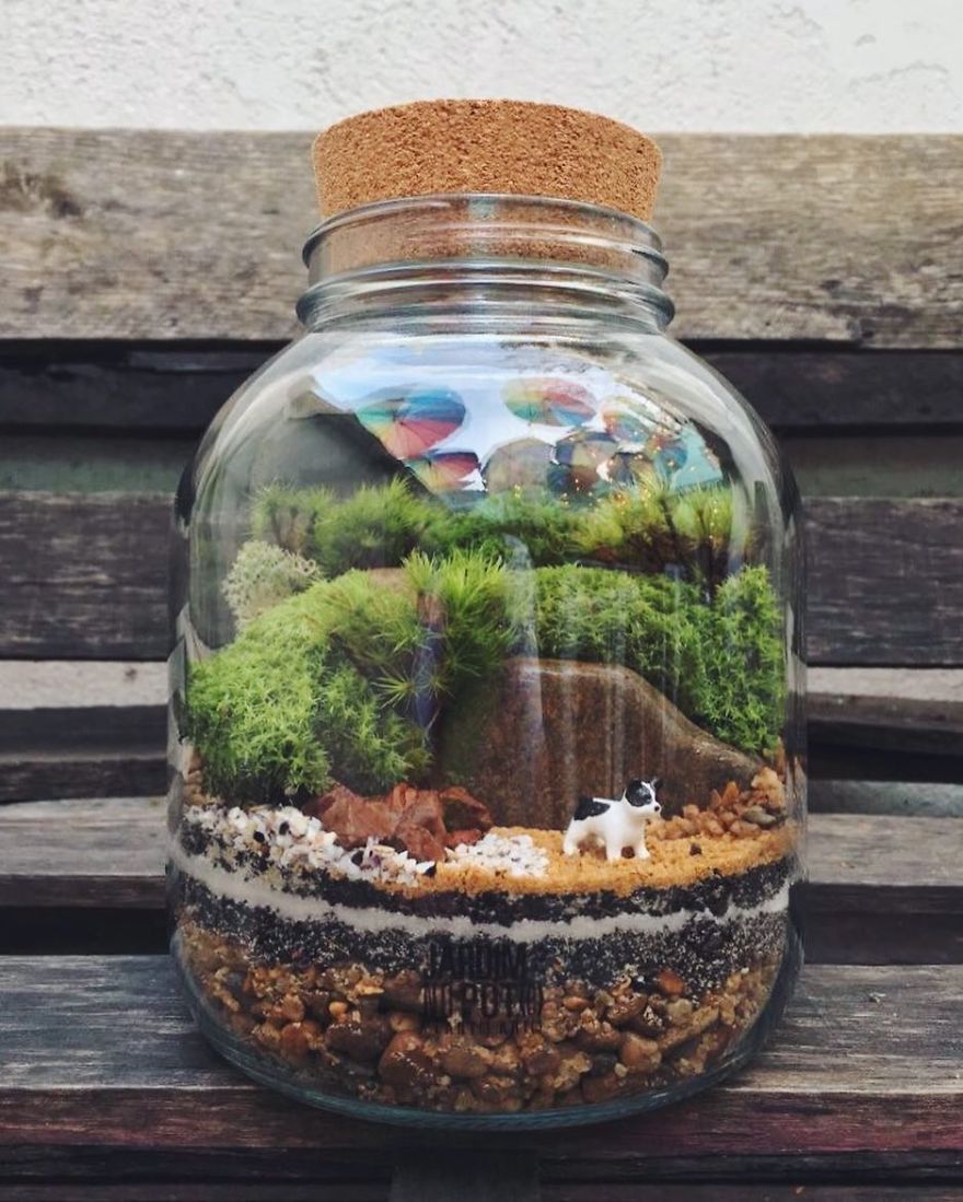 This Company Makes Incredible Micro Ecosystems In Pots And You Will Definitely Want One In Your Home