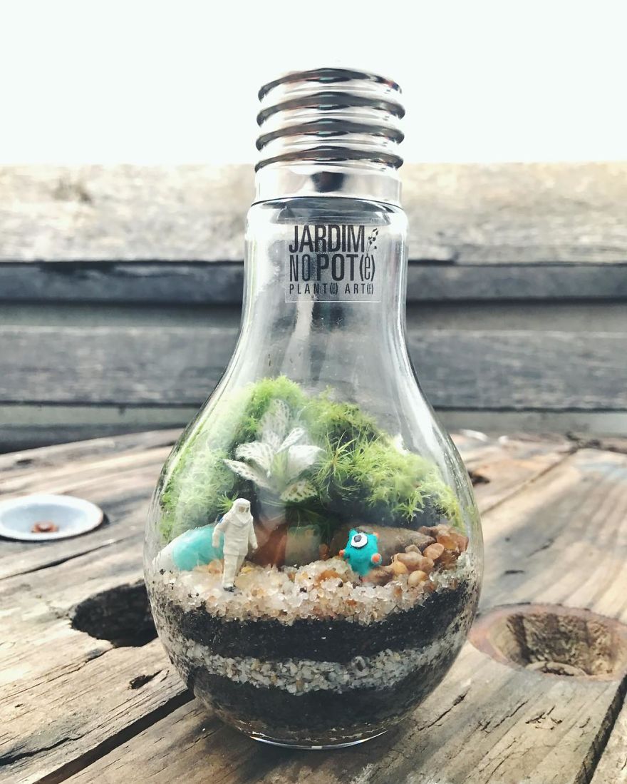 This Company Makes Incredible Micro Ecosystems In Pots And You Will Definitely Want One In Your Home