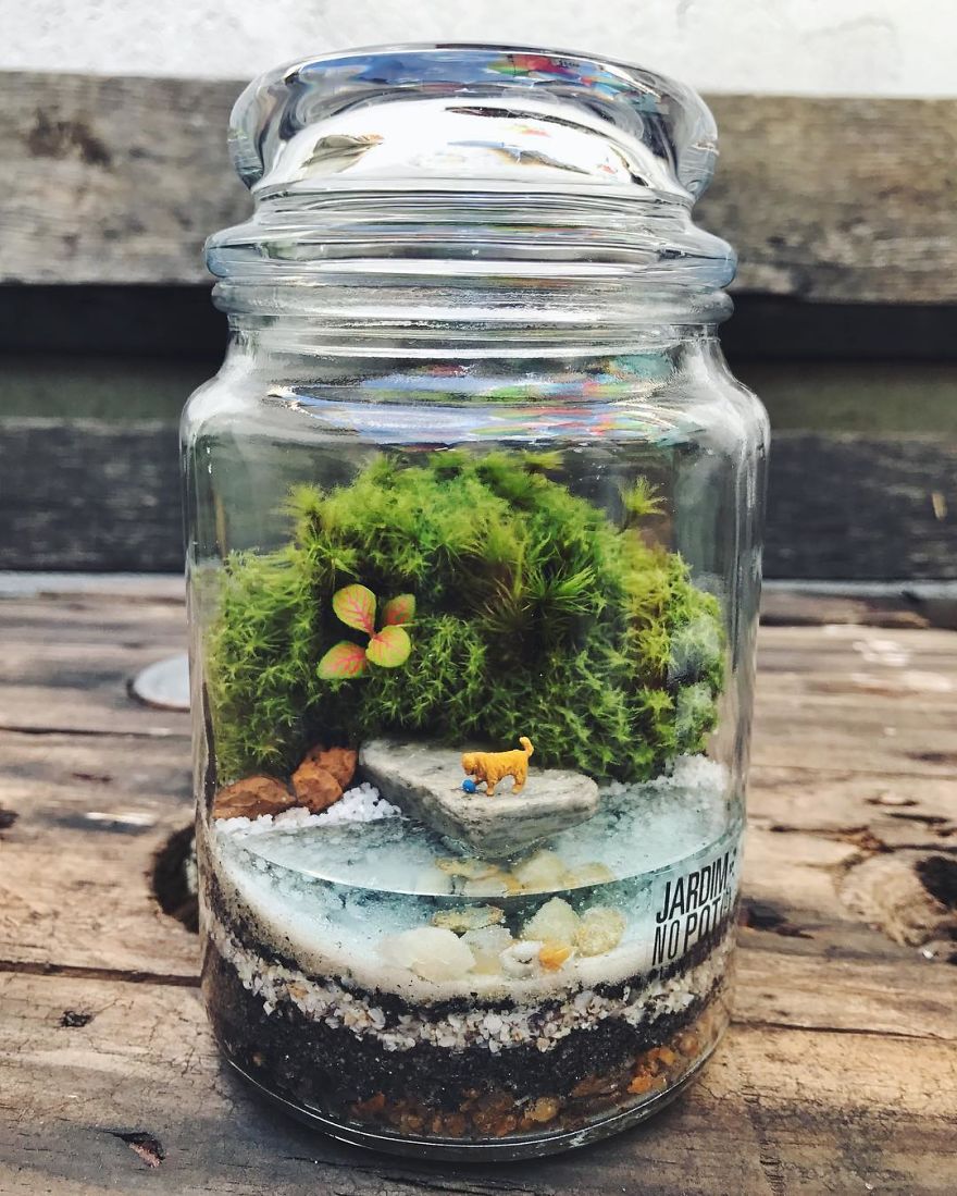 This Company Makes Incredible Micro Ecosystems In Pots And You Will Definitely Want One In Your Home