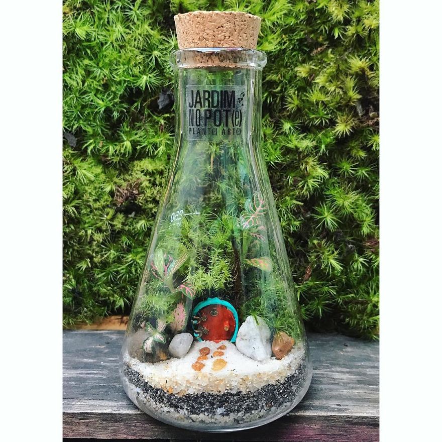 This Company Makes Incredible Micro Ecosystems In Pots And You Will Definitely Want One In Your Home