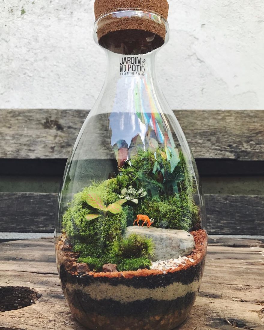 This Company Makes Incredible Micro Ecosystems In Pots And You Will Definitely Want One In Your Home