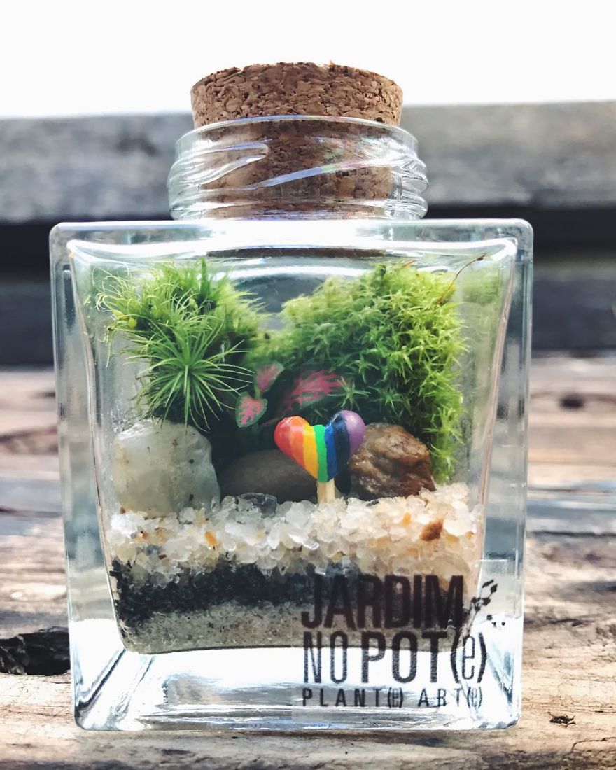 This Company Makes Incredible Micro Ecosystems In Pots And You Will Definitely Want One In Your Home