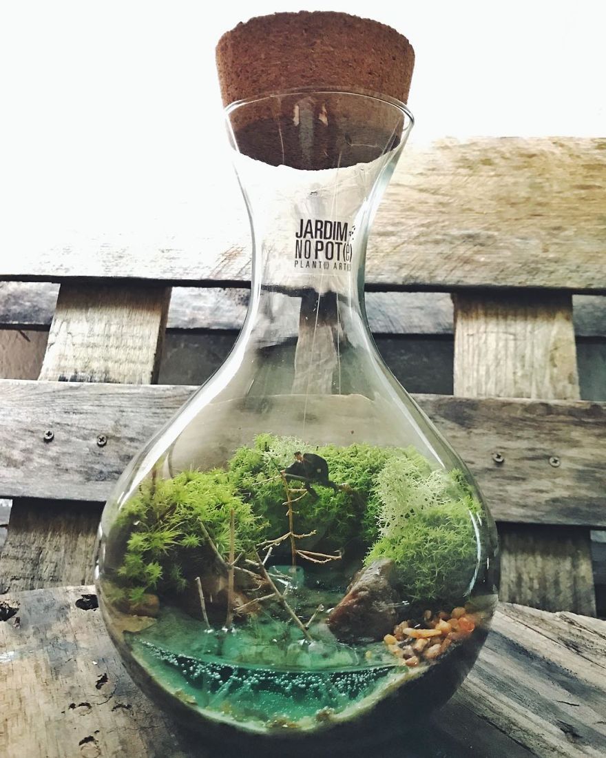 This Company Makes Incredible Micro Ecosystems In Pots And You Will Definitely Want One In Your Home