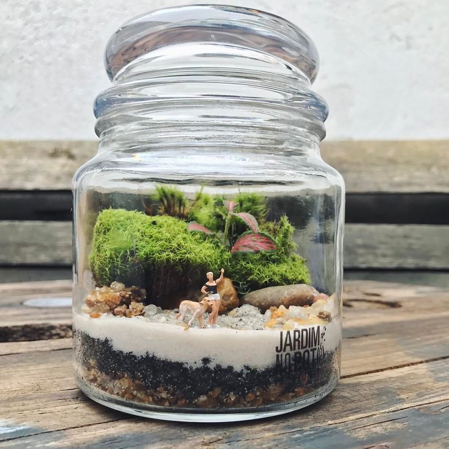 This Company Makes Incredible Micro Ecosystems In Pots And You Will Definitely Want One In Your Home