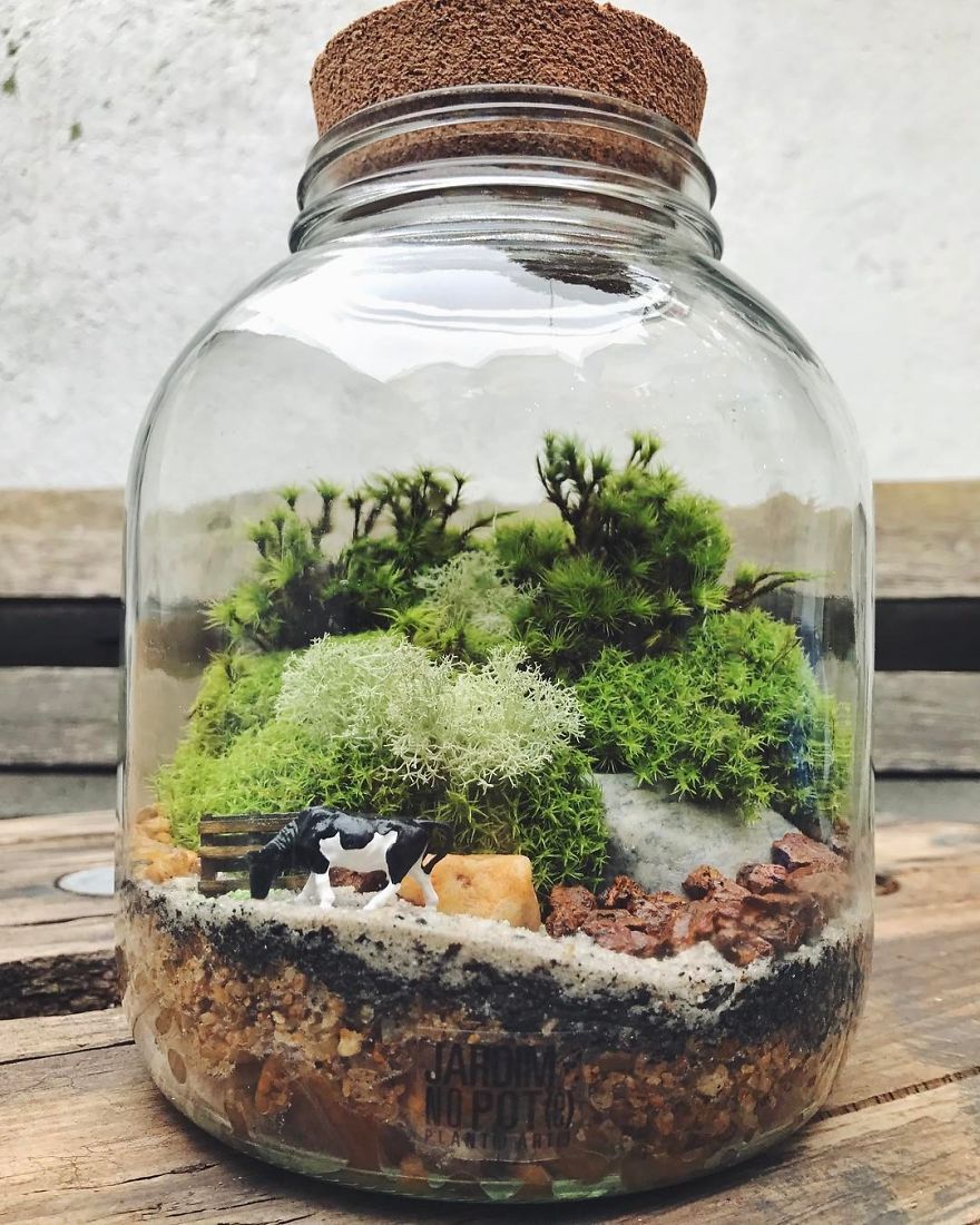 This Company Makes Incredible Micro Ecosystems In Pots And You Will Definitely Want One In Your Home