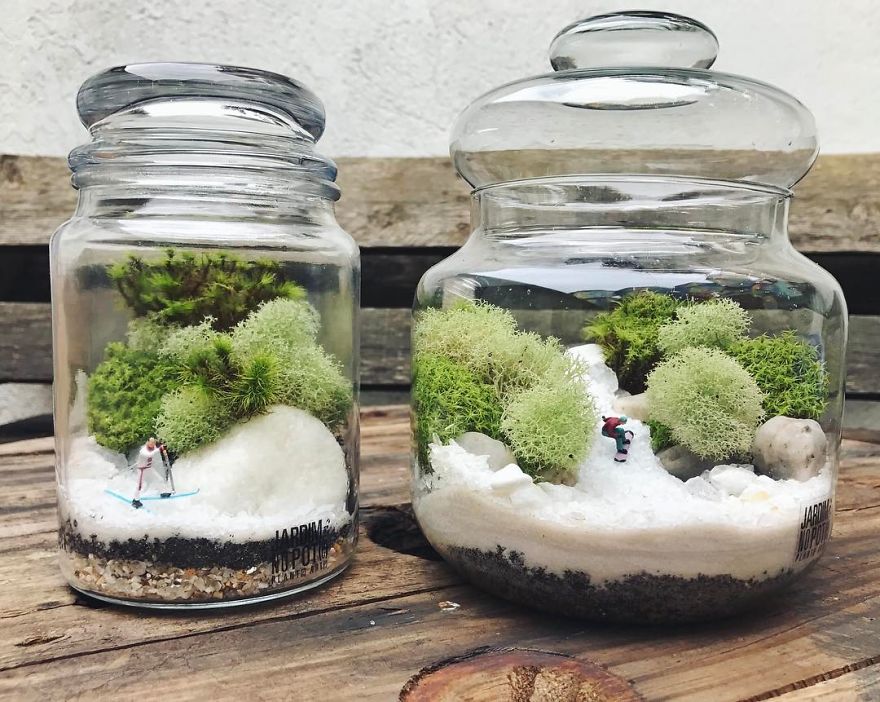 This Company Makes Incredible Micro Ecosystems In Pots And You Will Definitely Want One In Your Home