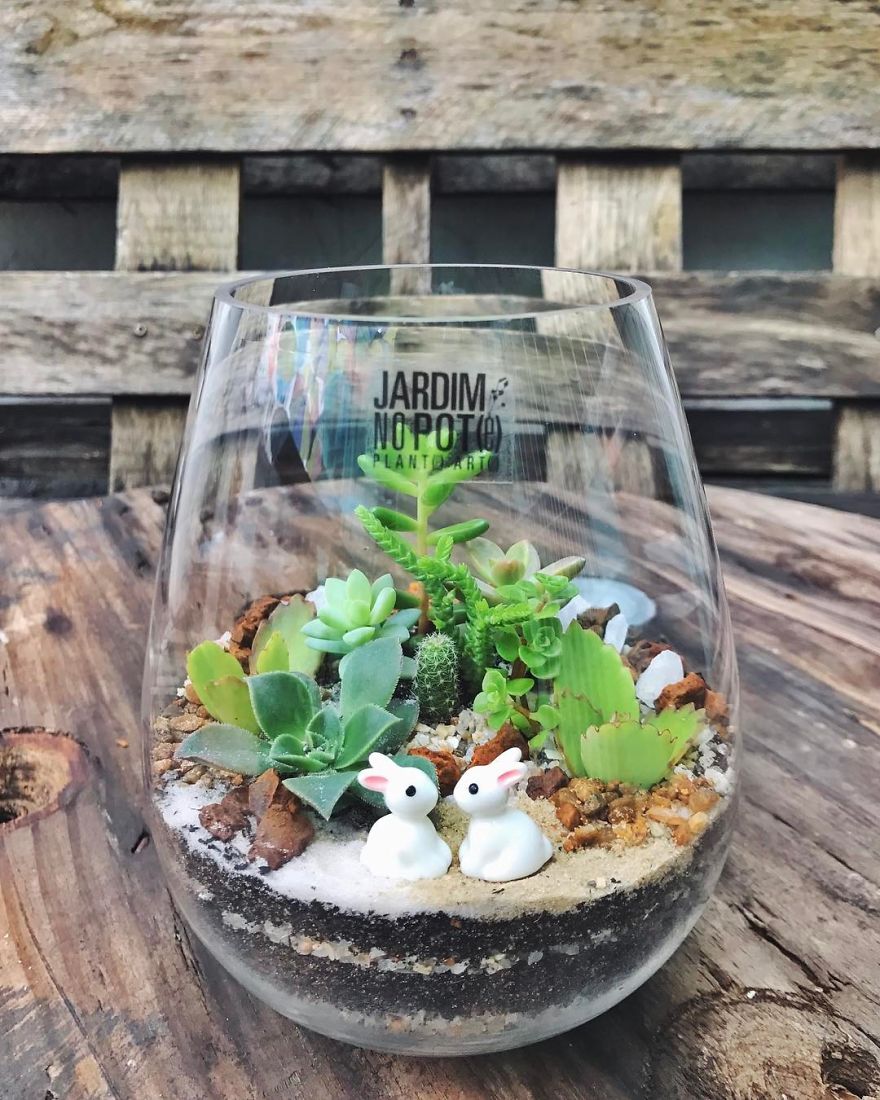 This Company Makes Incredible Micro Ecosystems In Pots And You Will Definitely Want One In Your Home