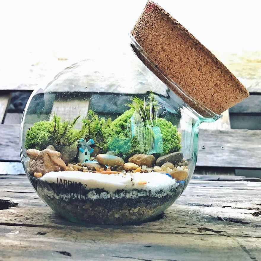 This Company Makes Incredible Micro Ecosystems In Pots And You Will Definitely Want One In Your Home