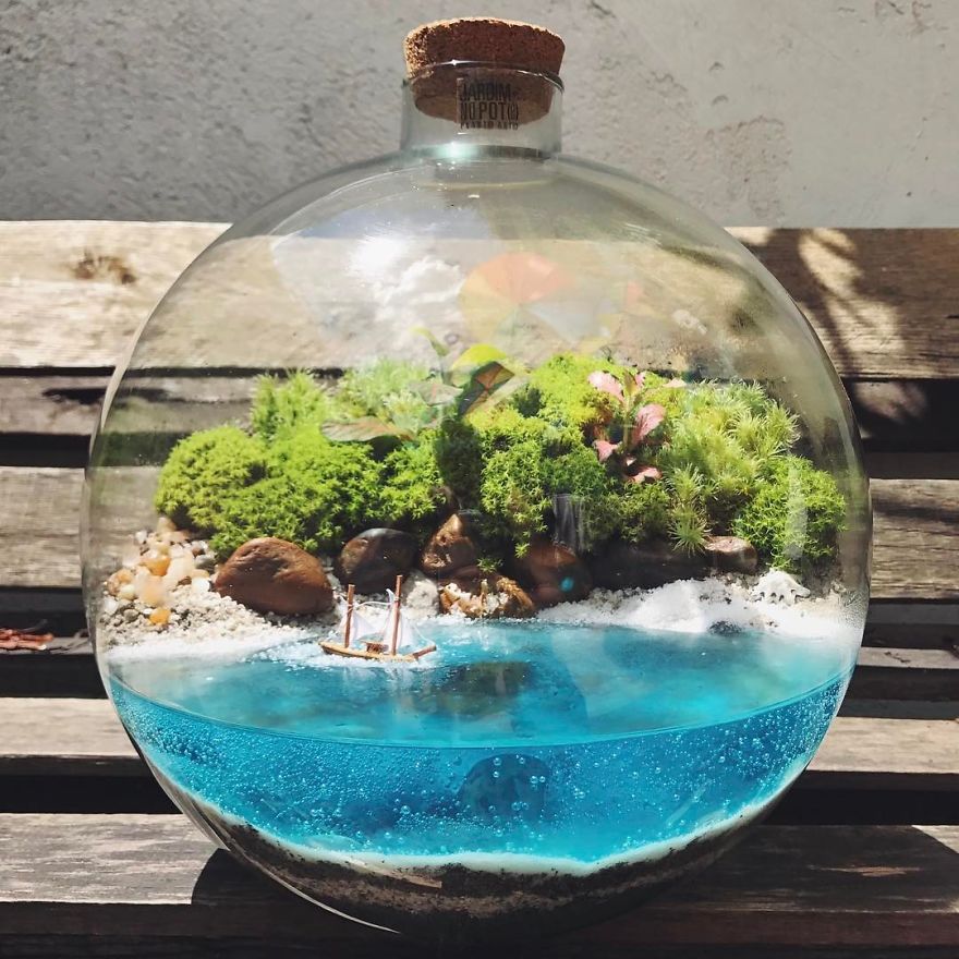 This Company Makes Incredible Micro Ecosystems In Pots And You Will Definitely Want One In Your Home