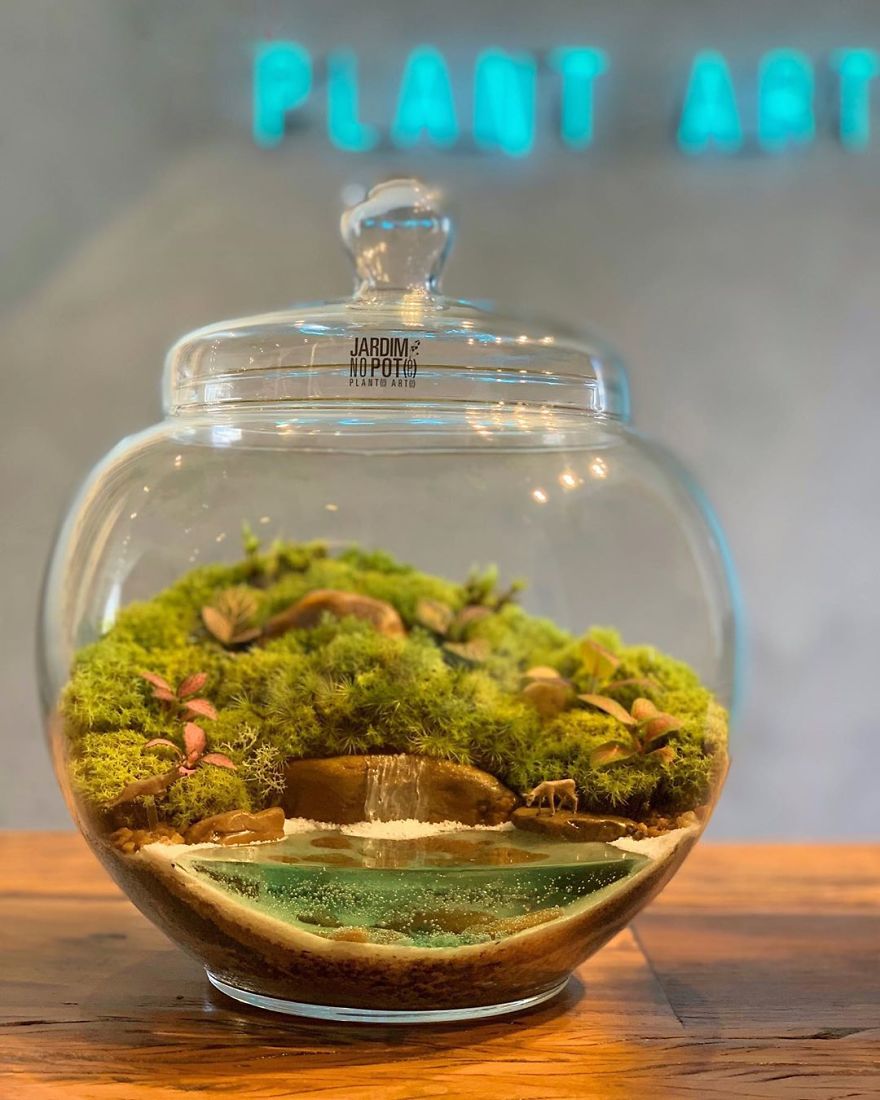 This Company Makes Incredible Micro Ecosystems In Pots And You Will Definitely Want One In Your Home