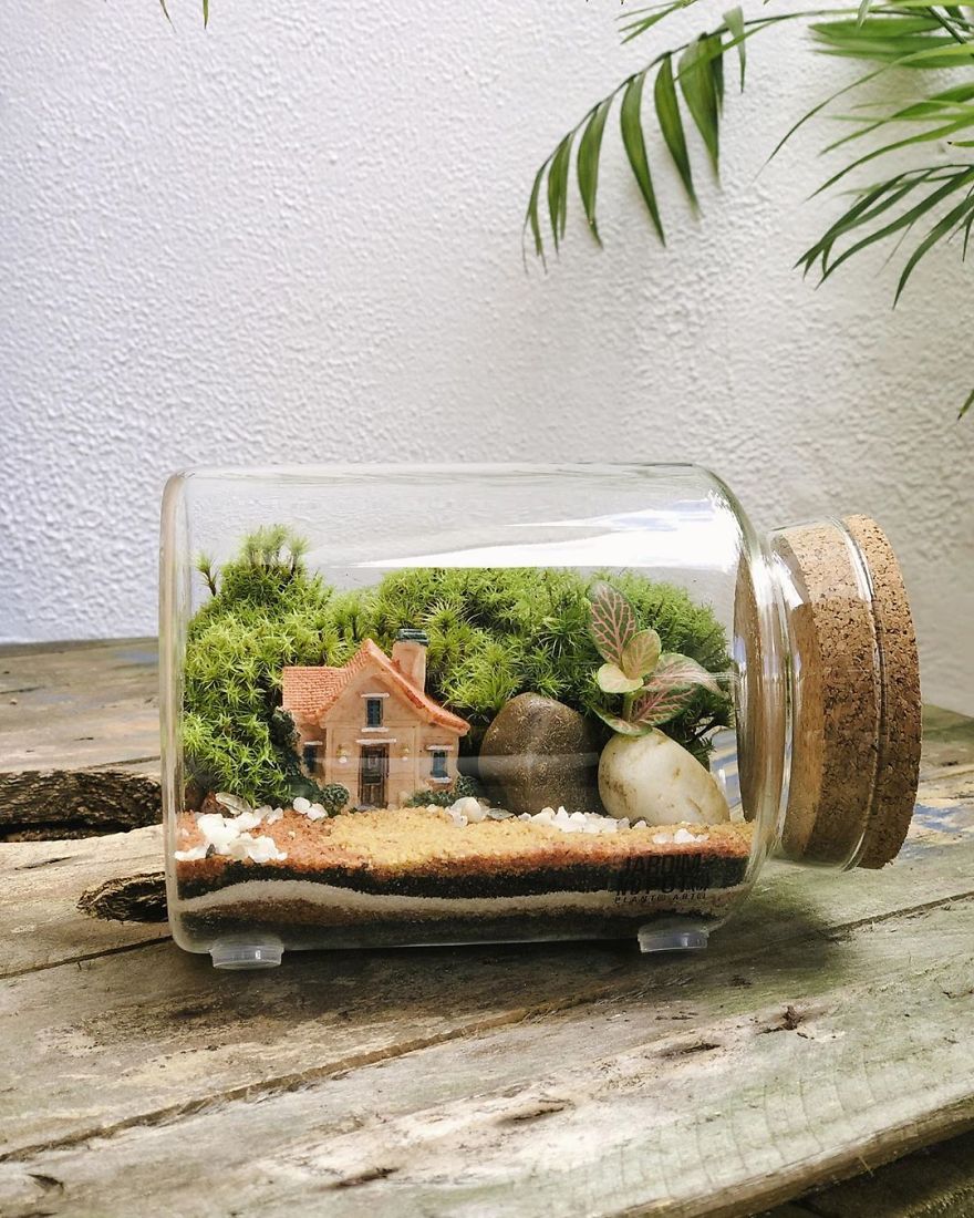 This Company Makes Incredible Micro Ecosystems In Pots And You Will Definitely Want One In Your Home