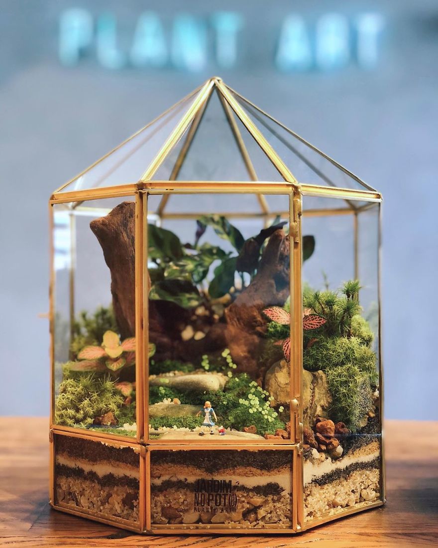 This Company Makes Incredible Micro Ecosystems In Pots And You Will Definitely Want One In Your Home