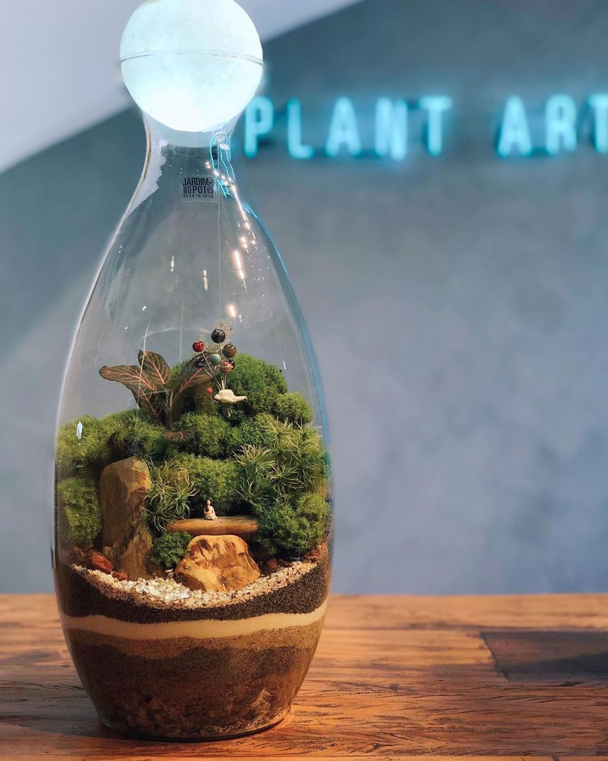This Company Makes Incredible Micro Ecosystems In Pots And You Will Definitely Want One In Your Home