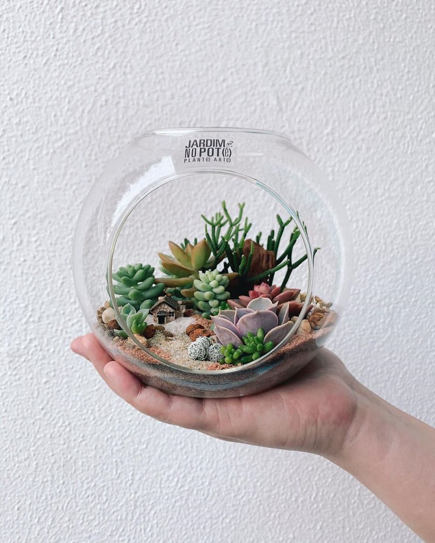This Company Makes Incredible Micro Ecosystems In Pots And You Will Definitely Want One In Your Home