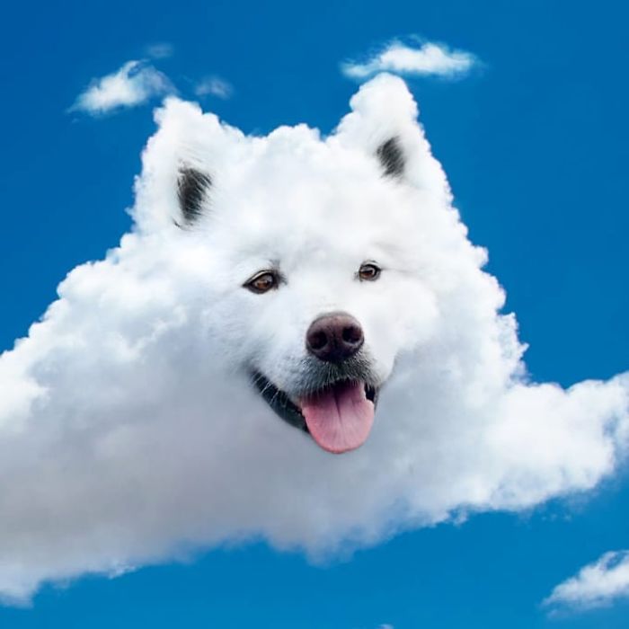 Cloud Boye