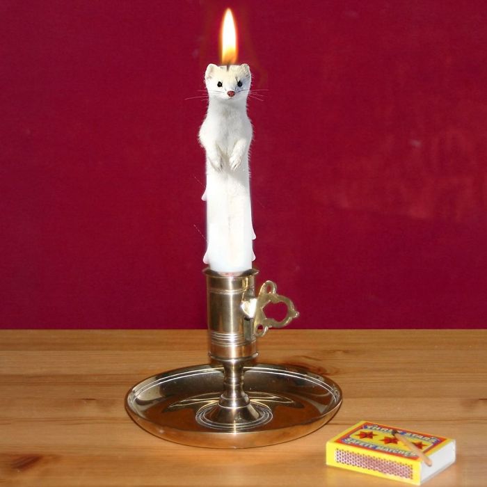 Dinner By Weasel-Light