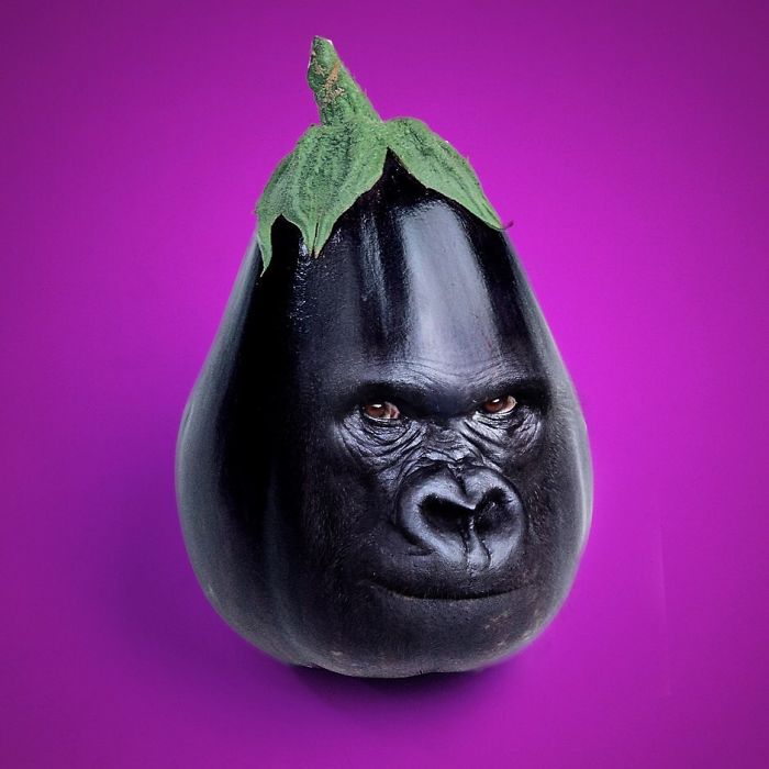 D*cks Out For Harambergine