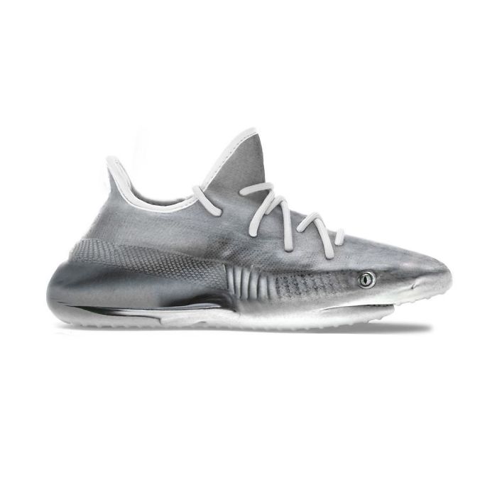 Yeezy 350 Shark