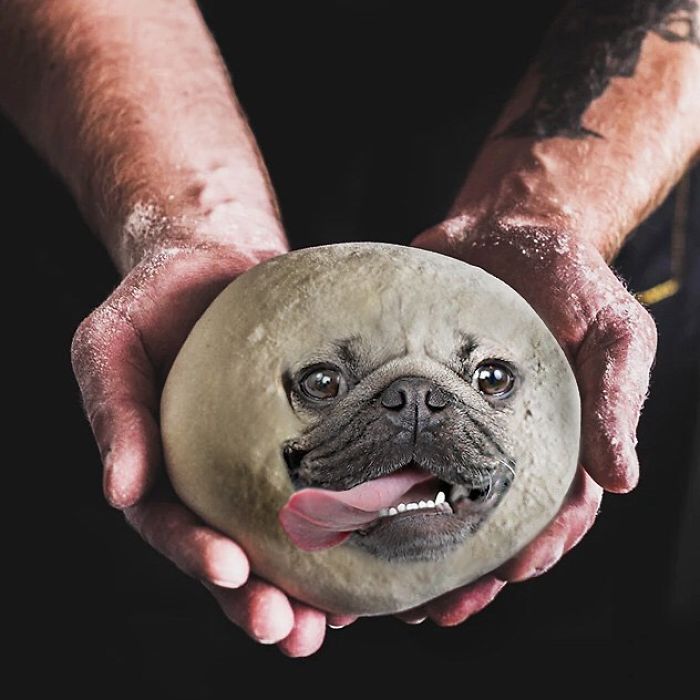 Doug(h) The Pug
