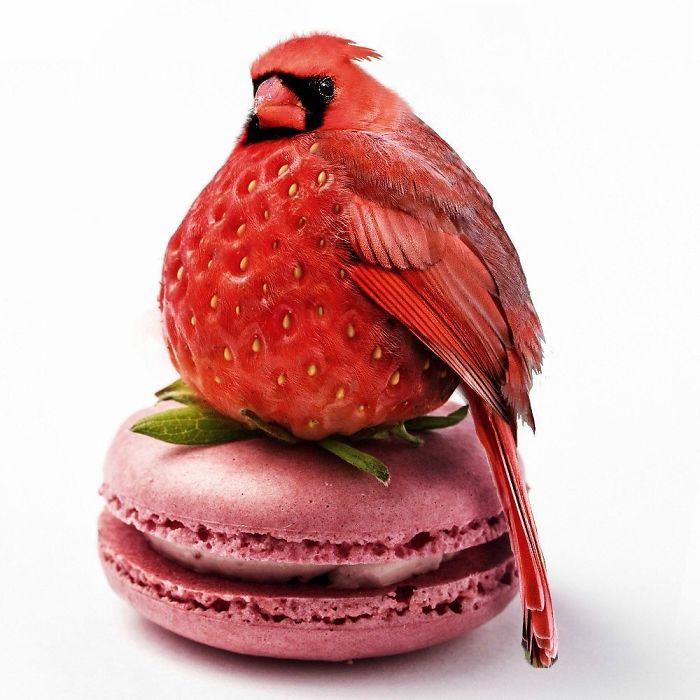 Strawbirberry