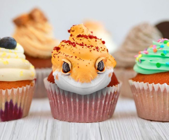 Geckupcake