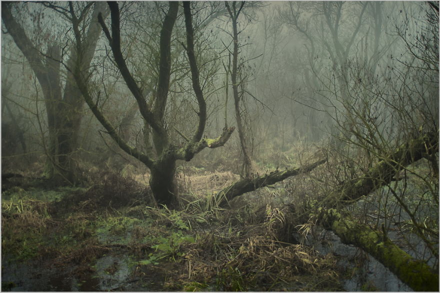 My Collection Called 'The Journey' (30 Pics)