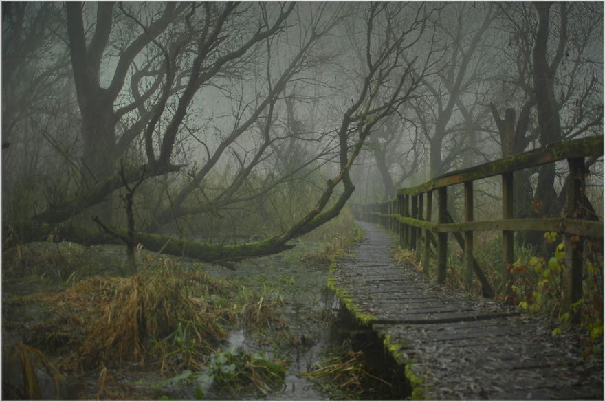 My Collection Called 'The Journey' (30 Pics)