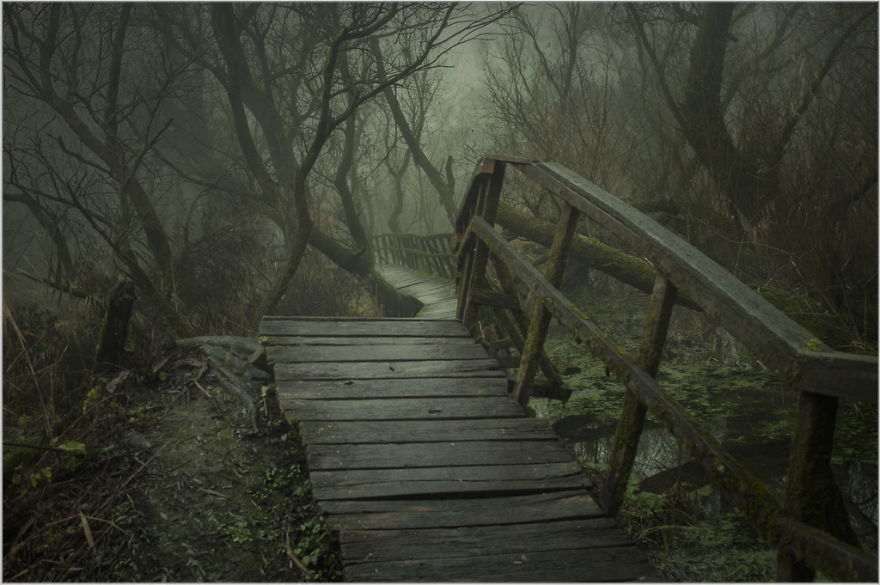 My Collection Called 'The Journey' (30 Pics)