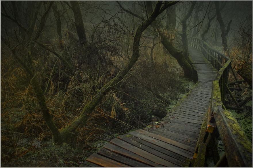 My Collection Called 'The Journey' (30 Pics)