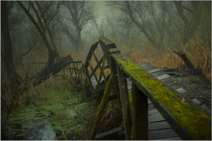 My Collection Called 'The Journey' (30 Pics)