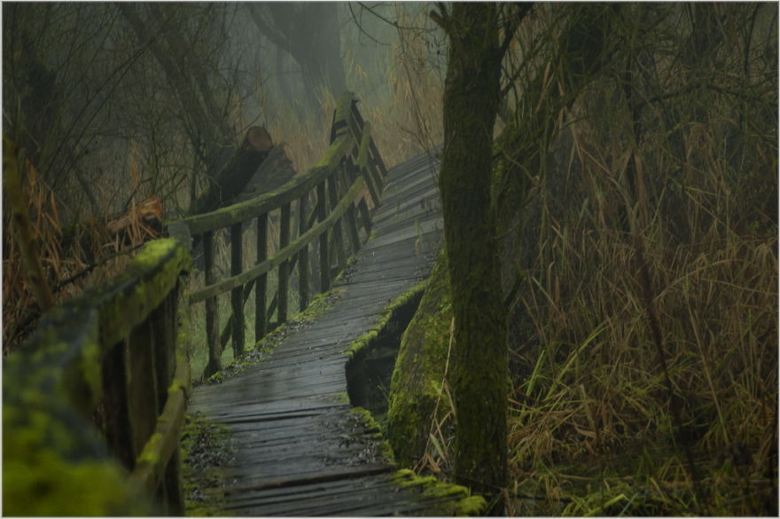 My Collection Called 'The Journey' (30 Pics)