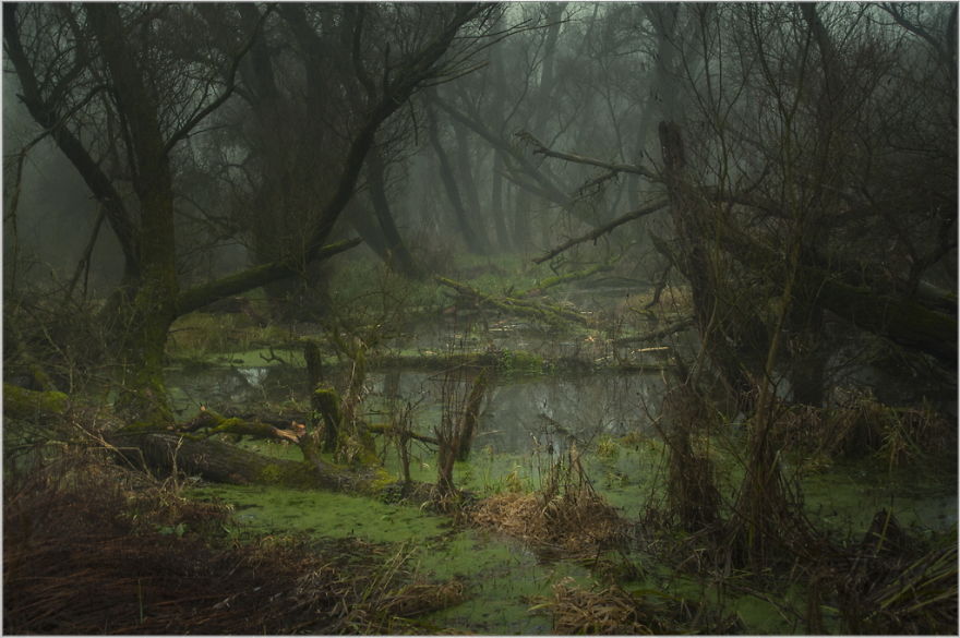 My Collection Called 'The Journey' (30 Pics)