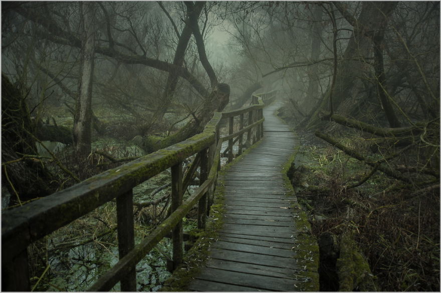 My Collection Called 'The Journey' (30 Pics)