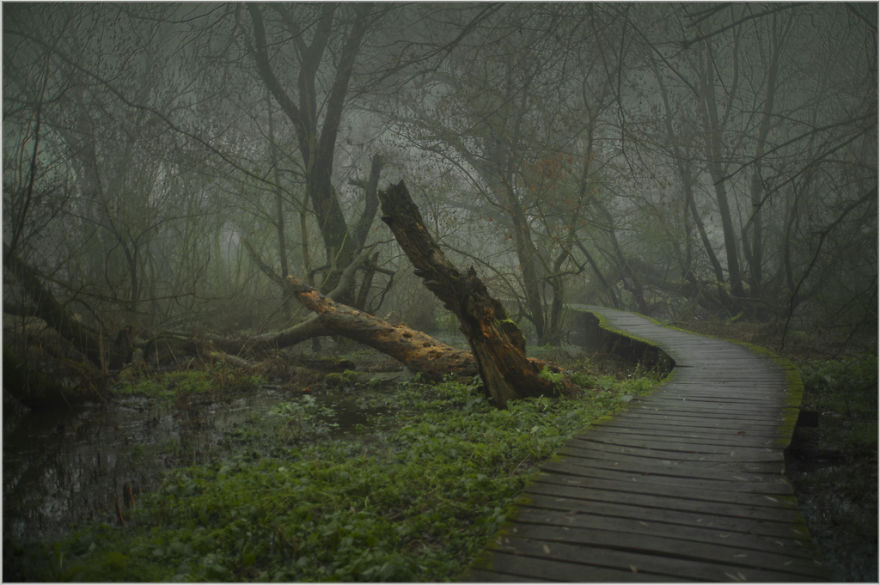 My Collection Called 'The Journey' (30 Pics)