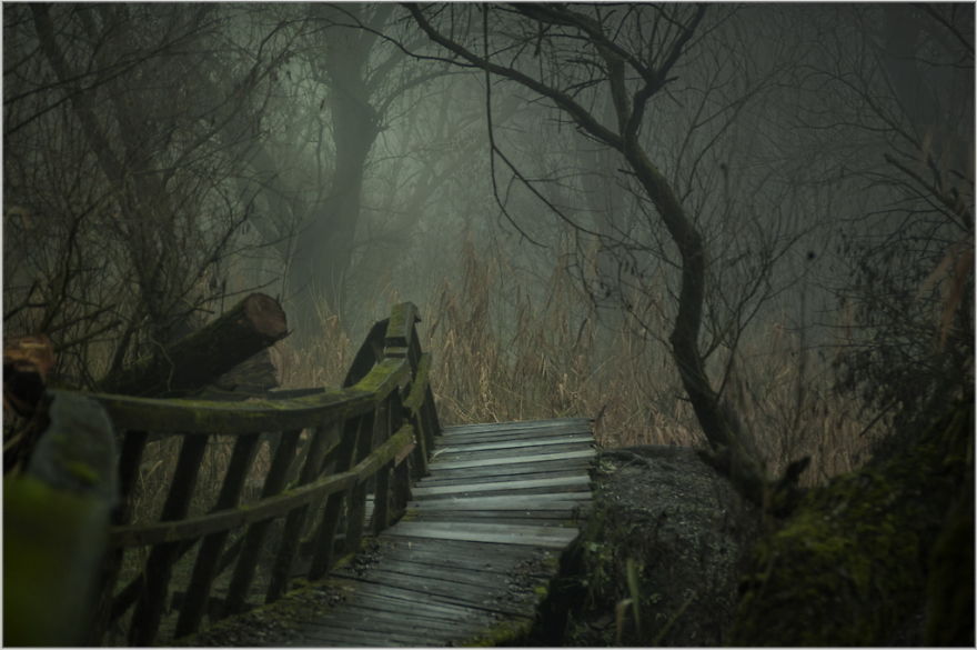 My Collection Called 'The Journey' (30 Pics)