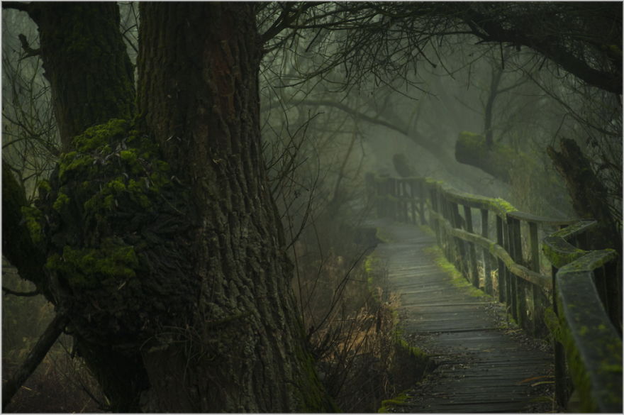 My Collection Called 'The Journey' (30 Pics)