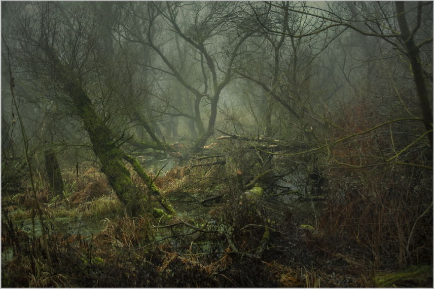 My Collection Called 'The Journey' (30 Pics)