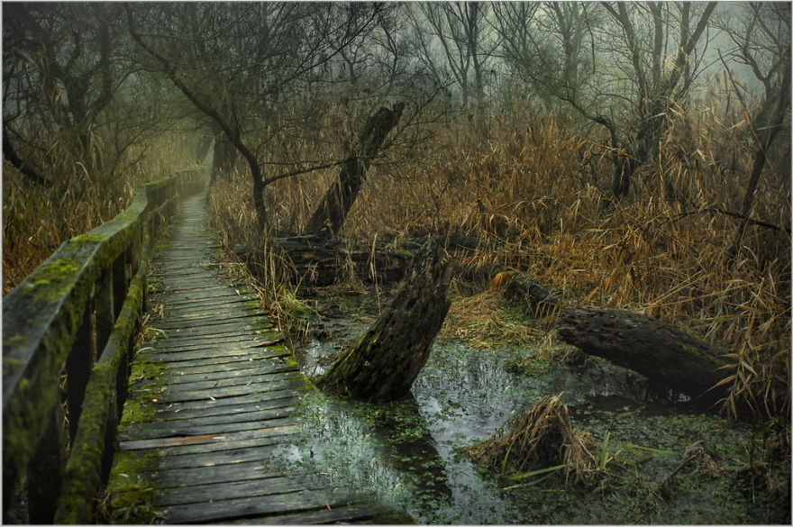 My Collection Called 'The Journey' (30 Pics)