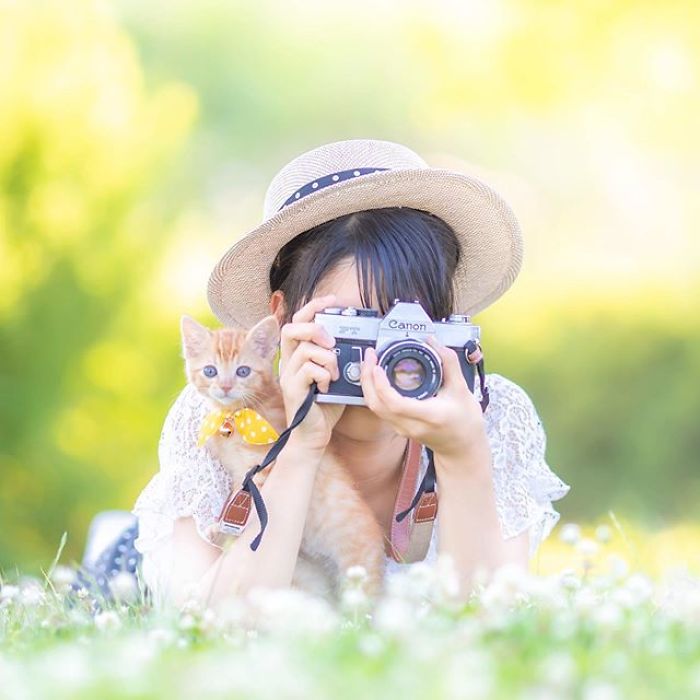 You Will Fall In Love With These Purrfessional Photographe
