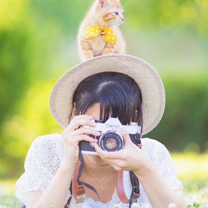 You Will Fall In Love With These Purrfessional Photographe