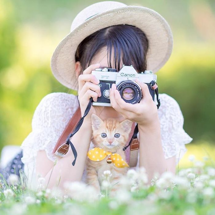 You Will Fall In Love With These Purrfessional Photographe