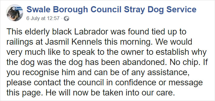 "I Haven't Learnt To Be Good": People Find An Abandoned Elderly Labrador With A Note