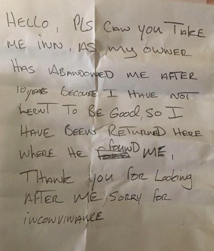 "I Haven't Learnt To Be Good": People Find An Abandoned Elderly Labrador With A Note