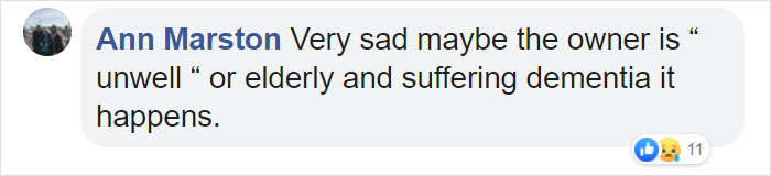 "I Haven't Learnt To Be Good": People Find An Abandoned Elderly Labrador With A Note