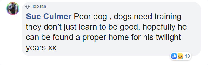"I Haven't Learnt To Be Good": People Find An Abandoned Elderly Labrador With A Note "I Haven't Learnt To Be Good": People Find An Abandoned Elderly Labrador With A Note