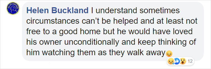 "I Haven't Learnt To Be Good": People Find An Abandoned Elderly Labrador With A Note