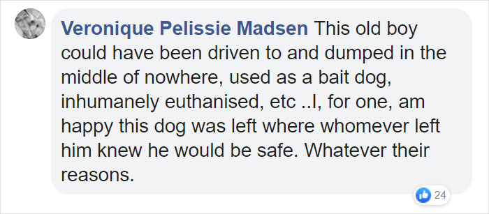 "I Haven't Learnt To Be Good": People Find An Abandoned Elderly Labrador With A Note "I Haven't Learnt To Be Good": People Find An Abandoned Elderly Labrador With A Note