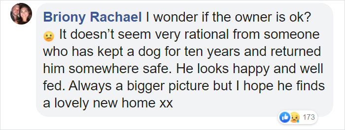 "I Haven't Learnt To Be Good": People Find An Abandoned Elderly Labrador With A Note